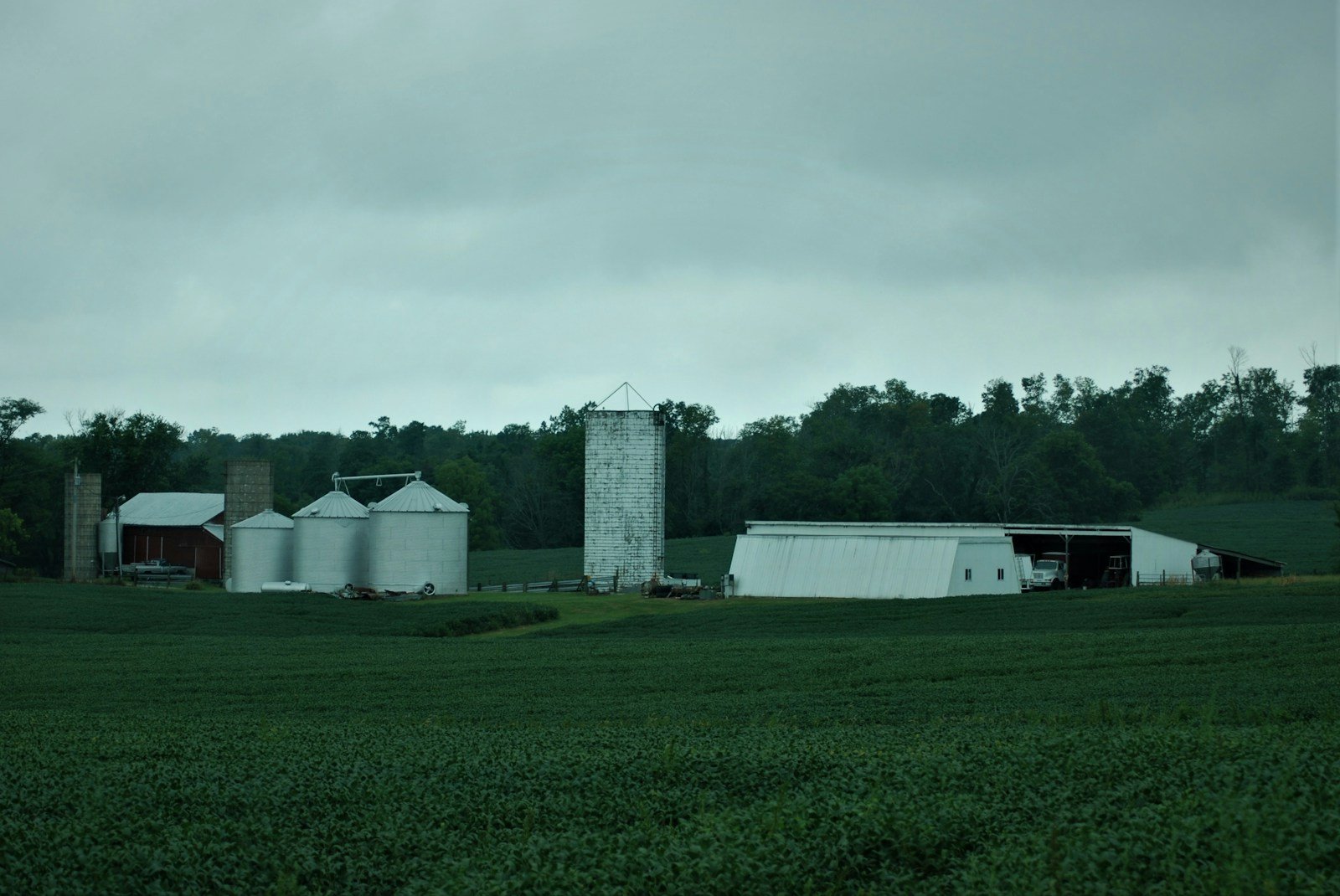 insumos agricolas